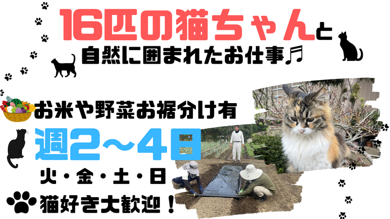 株式会社谷庄の派遣求人情報
