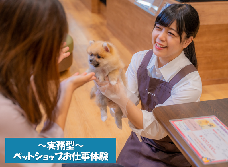 【石川県各店舗】~実務型~3daysペットショップお仕事体験