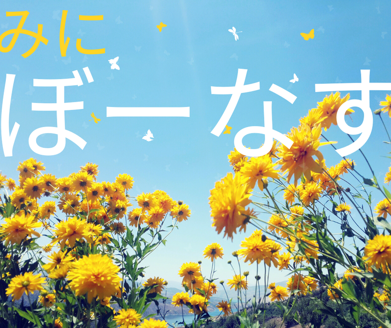 株式会社スカイキャリア(派遣先:福岡県福岡市東区)FUK134のアルバイト・バイト求人情報-02