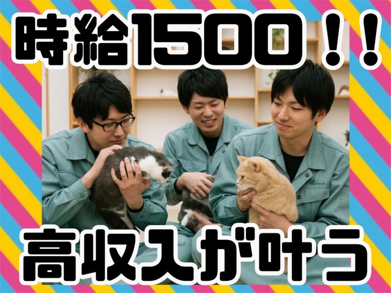 株式会社リンクフィールドのアルバイト・バイト求人情報-43