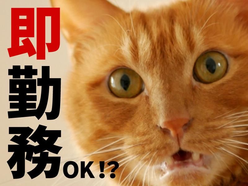 テイケイワークス株式会社　柏支店/TW108のアルバイト・バイト求人情報-04