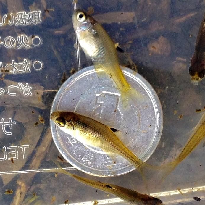 株式会社東和コーポレーション　秋葉原営業所【水道橋】のアルバイト・バイト求人情報-03