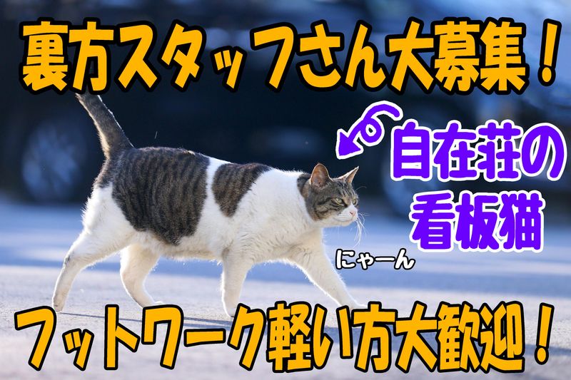 有限会社自在莊の求人・転職情報