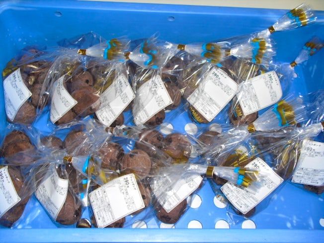 株式会社北欧SSプランの求人・転職情報