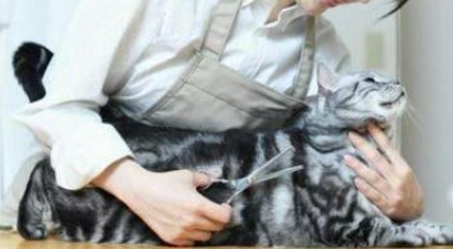 スーパービバホーム長久手店のアルバイト・バイト求人情報-05