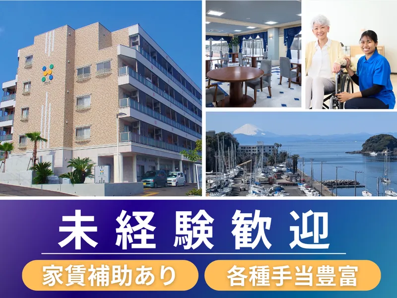 株式会社日本ライフデザイン　油壺マリーナヒルズ-0002の求人・転職情報