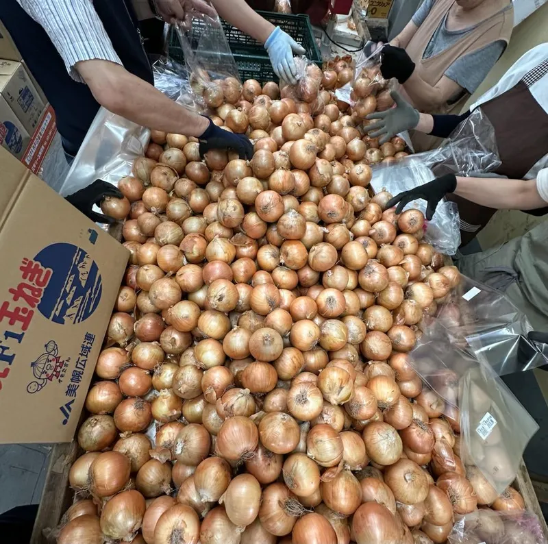 合同会社VEGETABLE