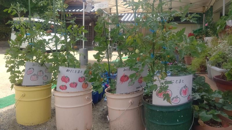 社会福祉法人　江松会　認定こども園花園保育園の求人・転職情報