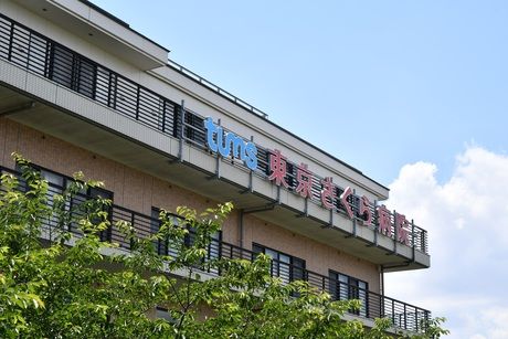 医療法人社団 城東桐和会　タムスさくら病院江戸川　重度認知症デイケアの求人情報