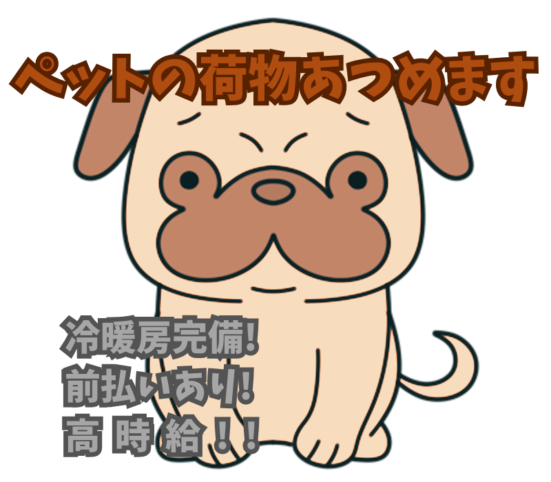 株式会社SIT/D1【A/P】の求人情報