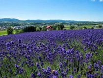 株式会社ドリームキャッチャーのアルバイト・バイト求人情報-03