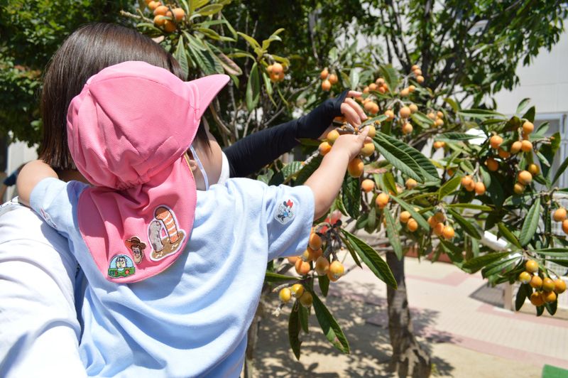 社会福祉法人NUA-0003の求人・転職情報