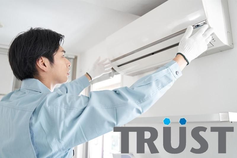 株式会社トラストの求人・転職情報