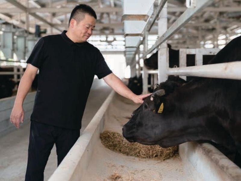 株式会社下村畜産食肉