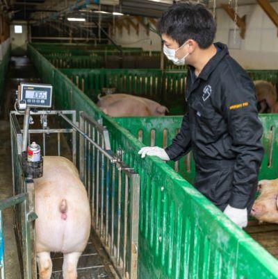 有限会社ブライトピック千葉