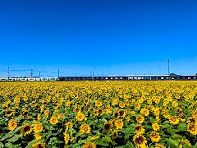 北石狩農業協同組合の求人・転職情報