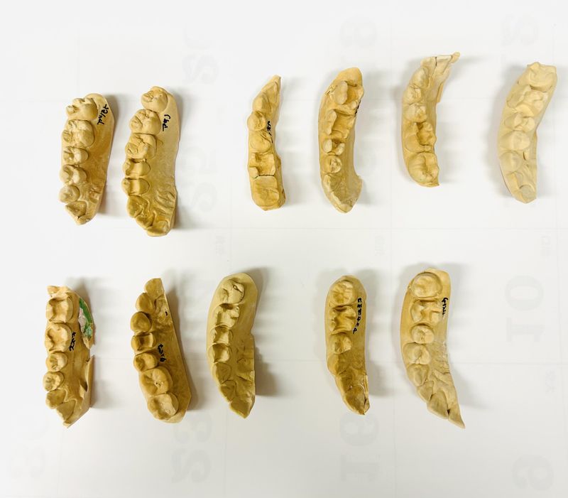 有限会社エスラインのアルバイト・バイト求人情報-02