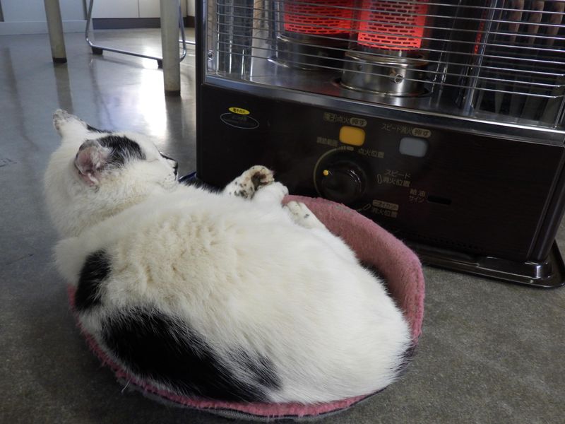 株式会社小林鑿泉工業所の求人・転職情報