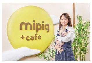 mipig cafe　横浜中華街店(株式会社Hooome)のアルバイト・バイト求人情報-02