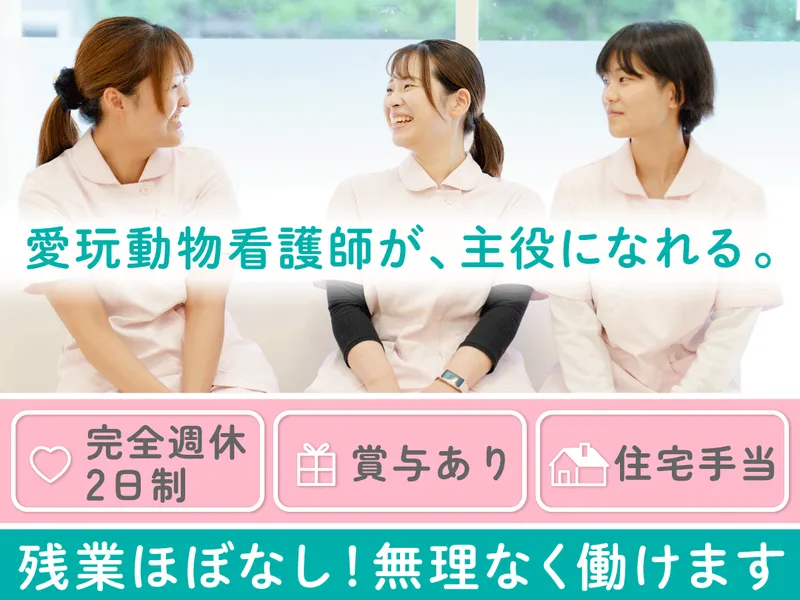 株式会社西長堀動物病院のアルバイト・バイト求人情報