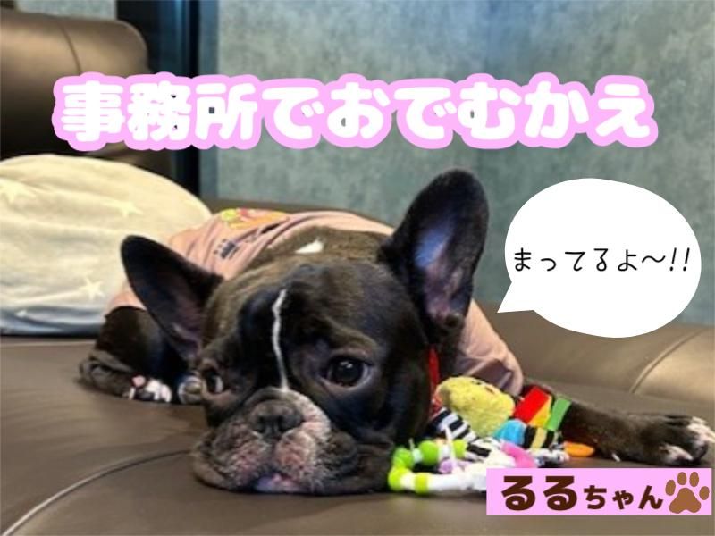 株式会社Ｒｅ－Ａｒｔの求人・転職情報