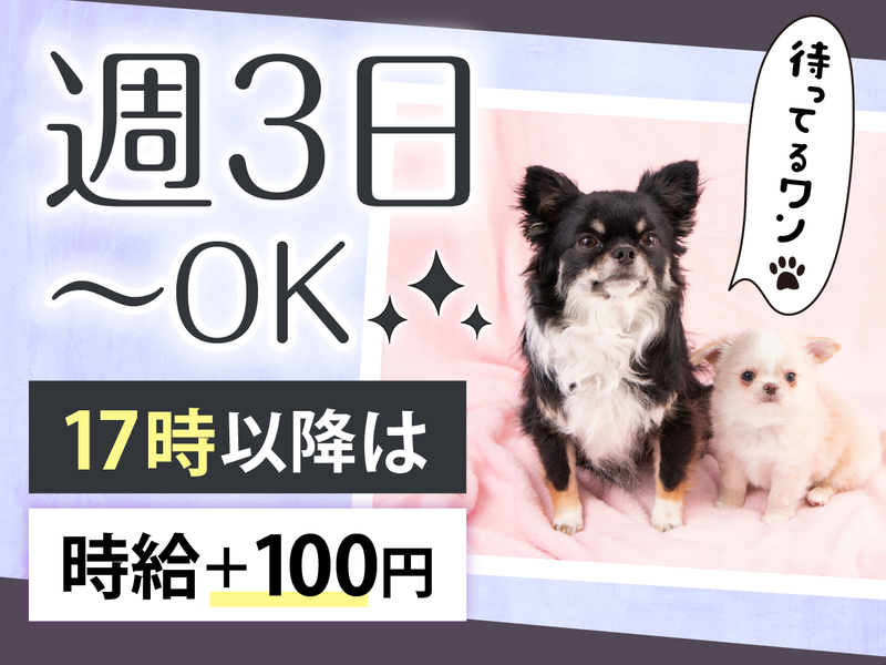 ニコペット春日部店のアルバイト・バイト求人情報-01