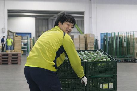 スワロー輸送　宇都宮物流センター