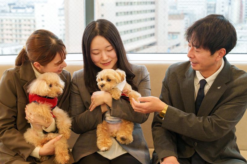 株式会社翔栄-0001の求人・転職情報