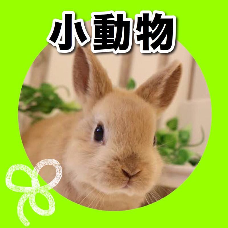 ペットショップAペット枚方店のアルバイト・バイト求人情報-03