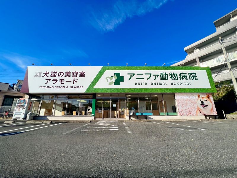 株式会社ファニメディック-0007の求人・転職情報