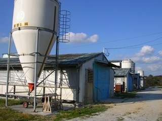 日本一鶏肉研究所株式会社_影の木農場の求人・転職情報