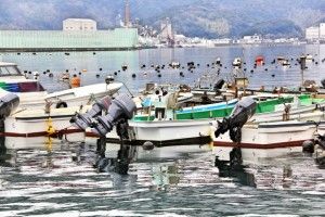 タカラ梱包輸送株式会社の求人情報