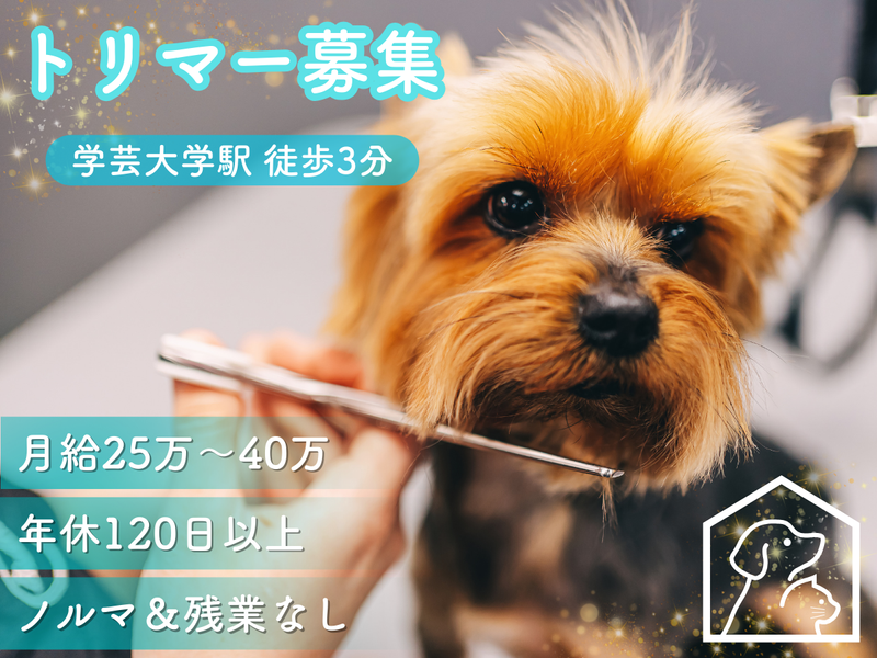 ワンルーク 目黒区 学芸大学駅店の求人・転職情報