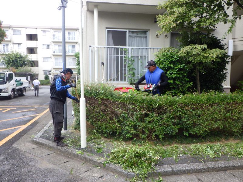 株式会社三嶋園の求人・転職情報