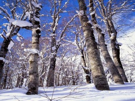 株式会社ヒューマニックのアルバイト・バイト求人情報-02