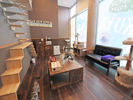 Coo&RIKU(クーアンドリク)　新潟西店のアルバイト・バイト求人情報-06