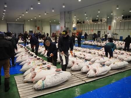 豊洲市場のアルバイト・バイト求人情報-02