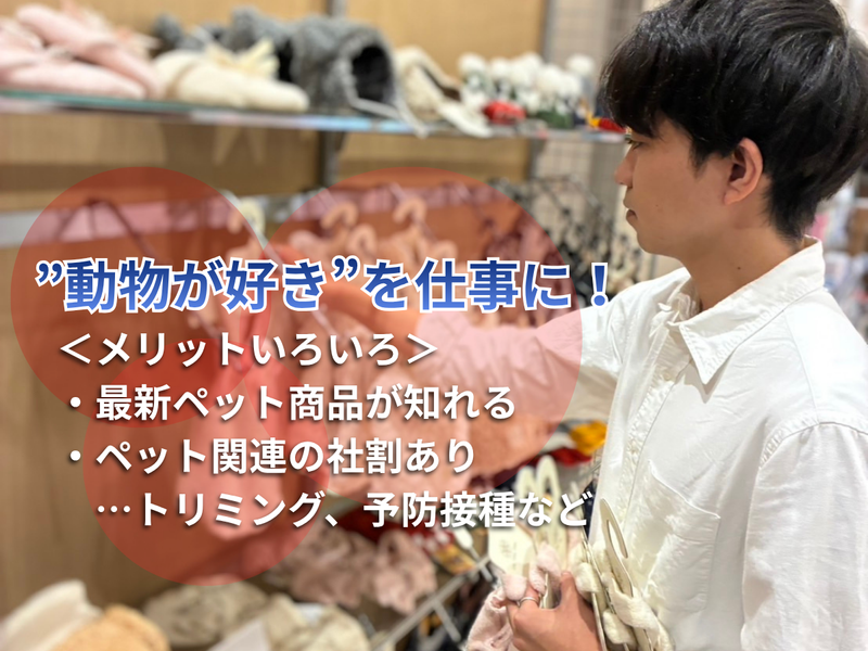 株式会社犬の家の求人・転職情報