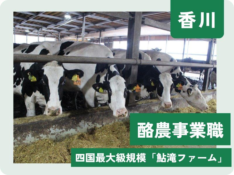 有限会社将基酪農