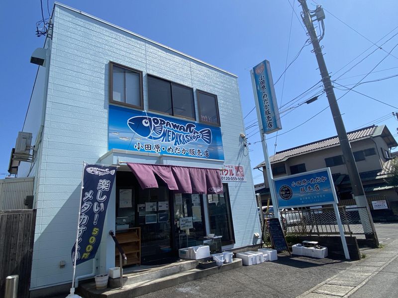 有限会社メディカルエムアンドエスの求人・転職情報