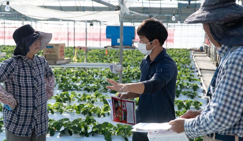 株式会社アグリ・アーツの求人・転職情報