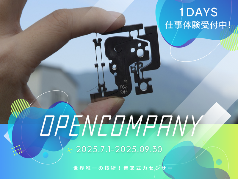 新光電子株式会社