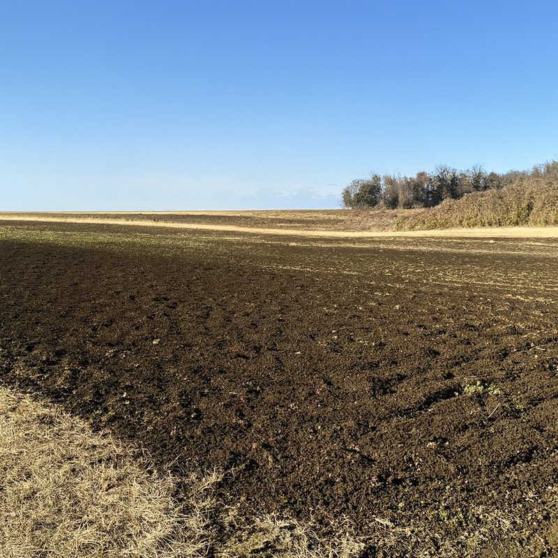 株式会社創進農場の求人・転職情報