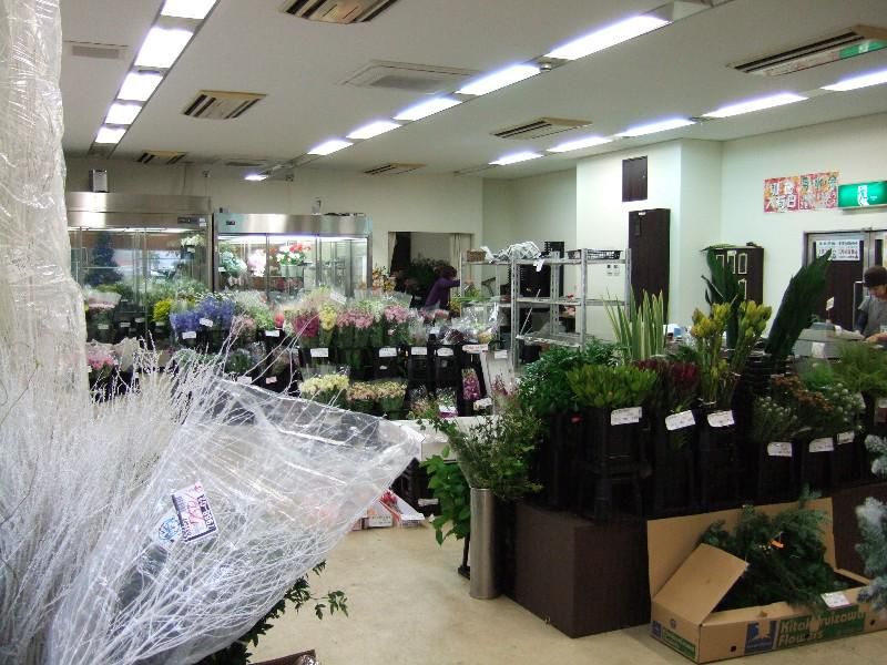 有限会社モンキーポッドの求人・転職情報