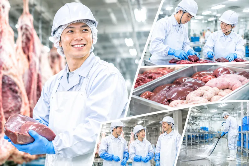 株式会社HMS　宮城野区扇町/食肉工場