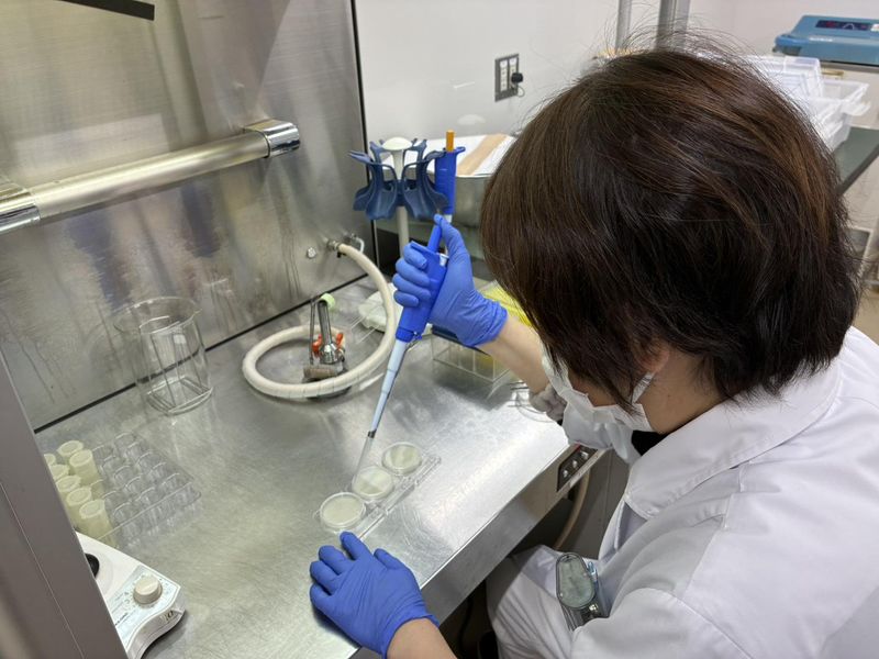 株式会社フレスタ