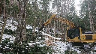 札鶴ベニヤ株式会社の求人・転職情報
