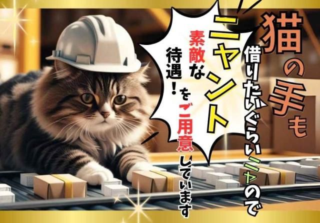 有限会社ディータ