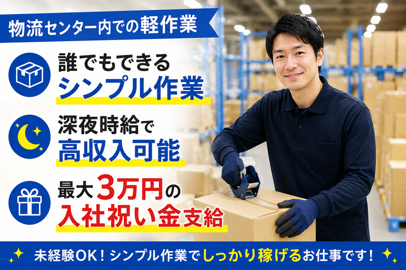 南洋アスピレーション株式会社/13201