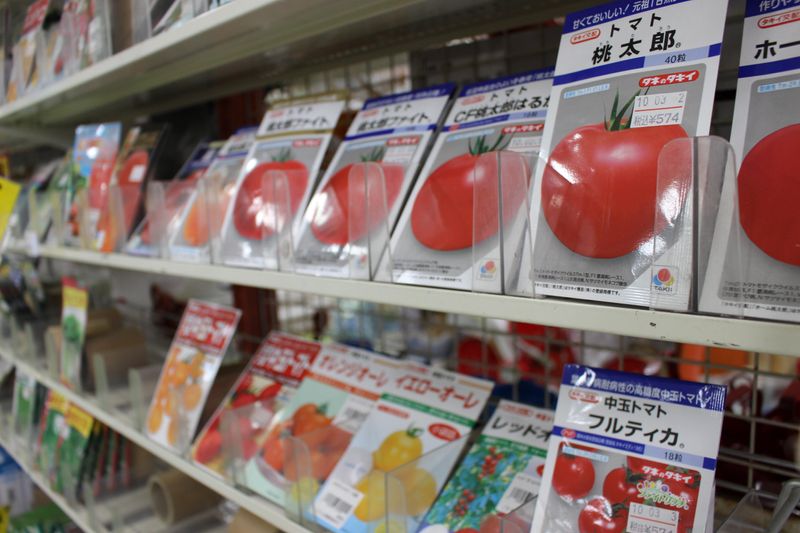 株式会社大畠種苗の求人・転職情報